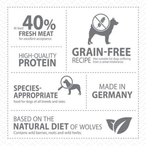 12kg Wolf of Wilderness Dry Dog Food - £10 Off!* - Image 2