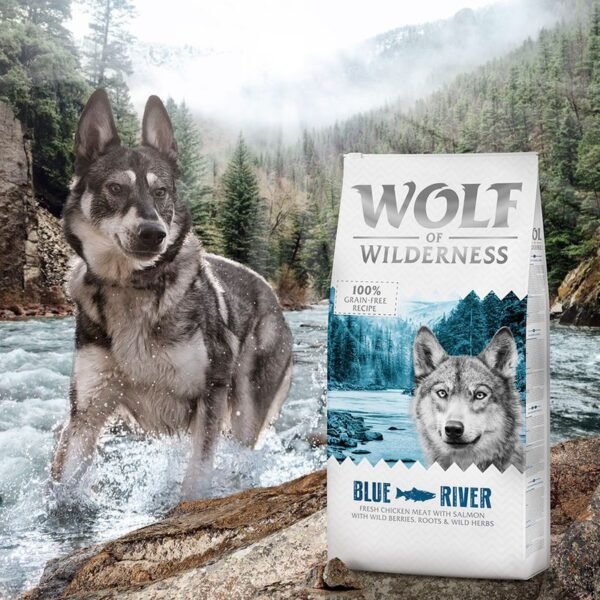 12kg Wolf of Wilderness Dry Dog Food - £10 Off!*