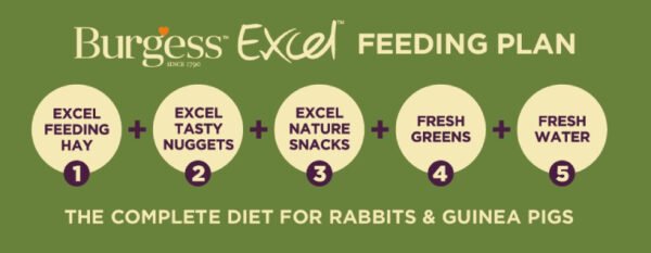 Burgess Excel Adult Rabbit Nuggets with Mint - Image 5