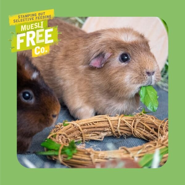 Burgess Excel Adult Guinea Pig Nuggets with Mint - Image 6